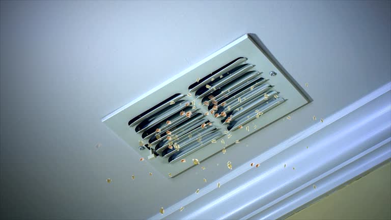 Best Local Air Duct Cleaning Services  in Notasulga, AL