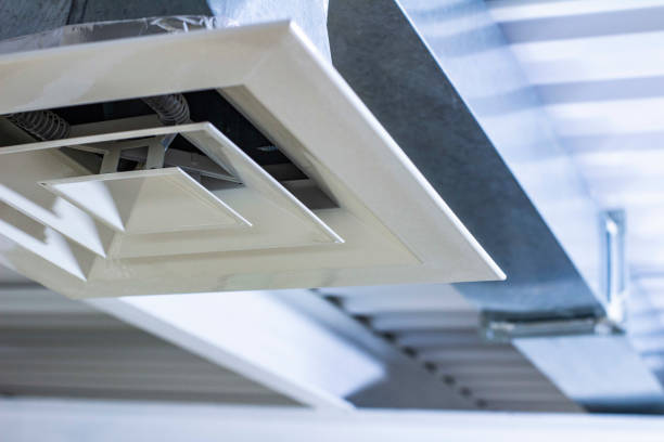 Best Home Air Vent Cleaning  in Notasulga, AL